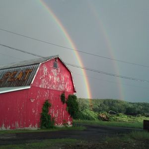 Meet your Posher, Barbara